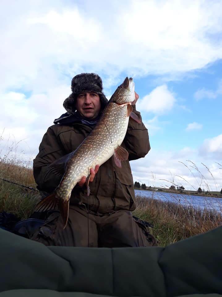 Gallery Springfield Fishery