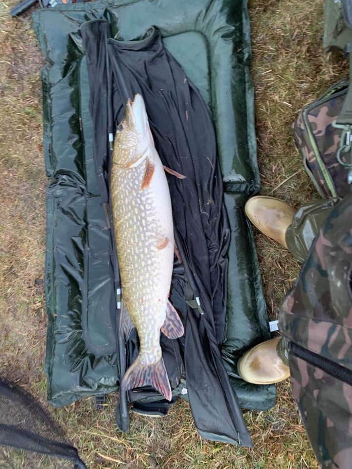 Gallery Springfield Fishery